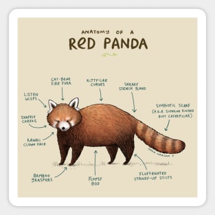 Anatomy of a Red Panda Magnet